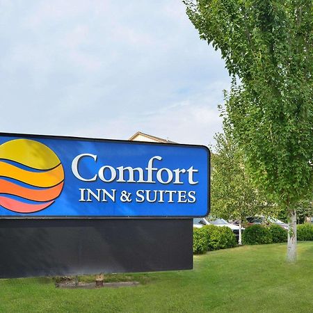 Comfort Inn & Suites Mcminnville Wine Country Dış mekan fotoğraf